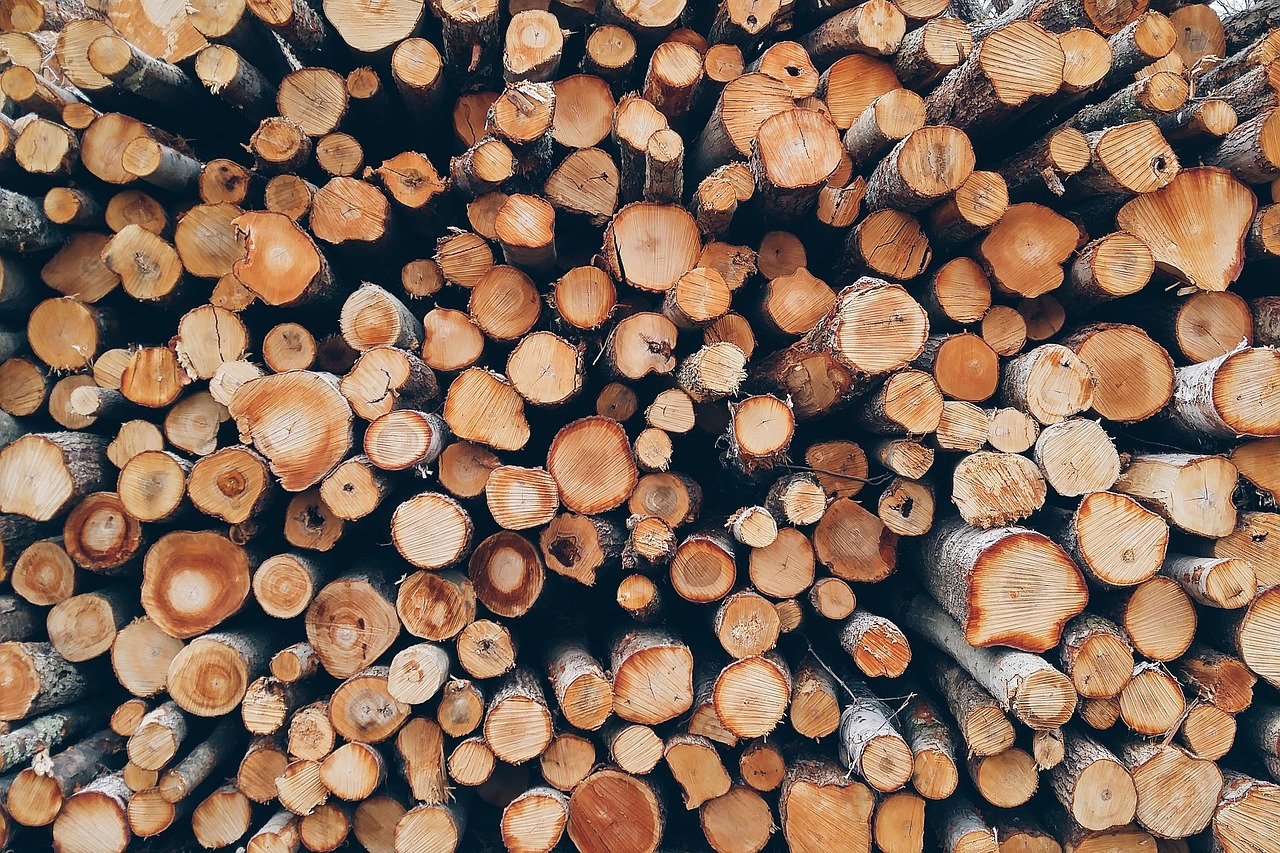 wood, pile, logs-1868104.jpg